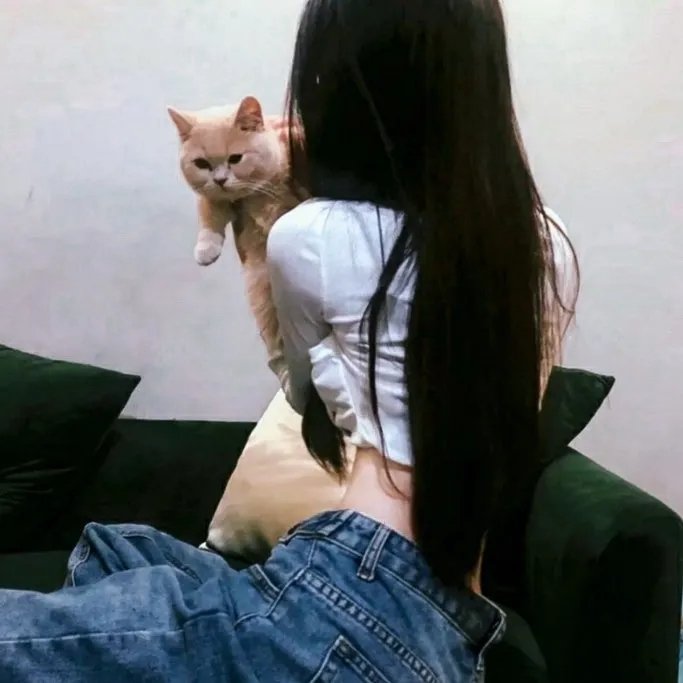 埃及王子