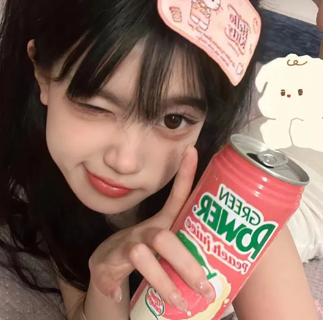 加菲猫家族